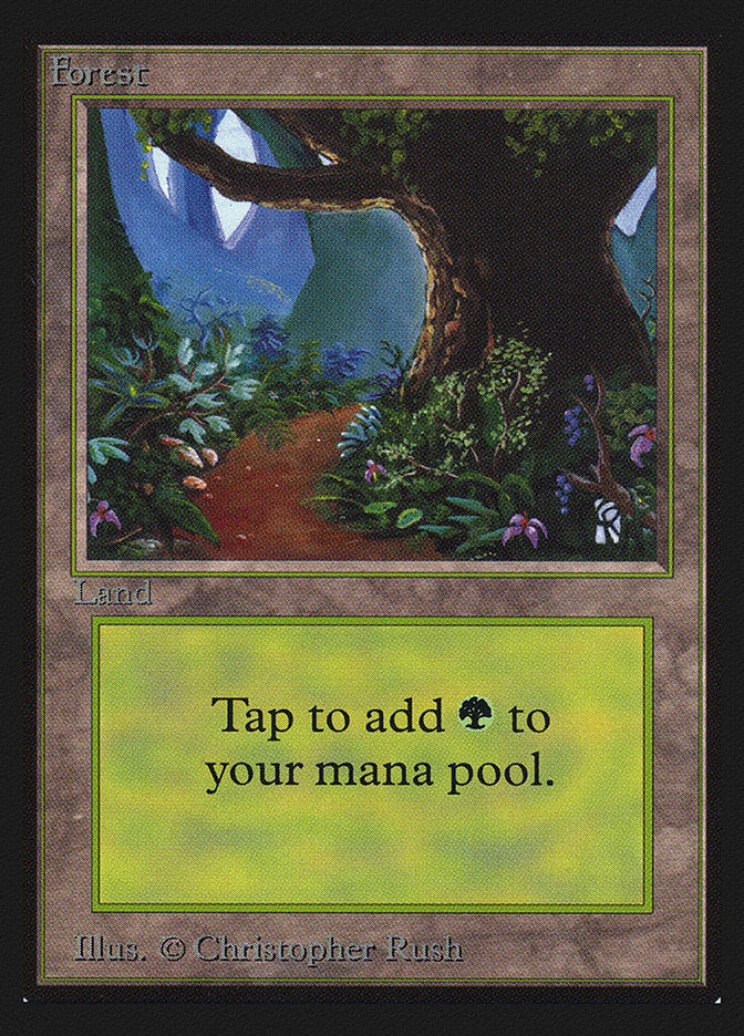 Forest (Flower Path) [International Collectors' Edition] | Total Play