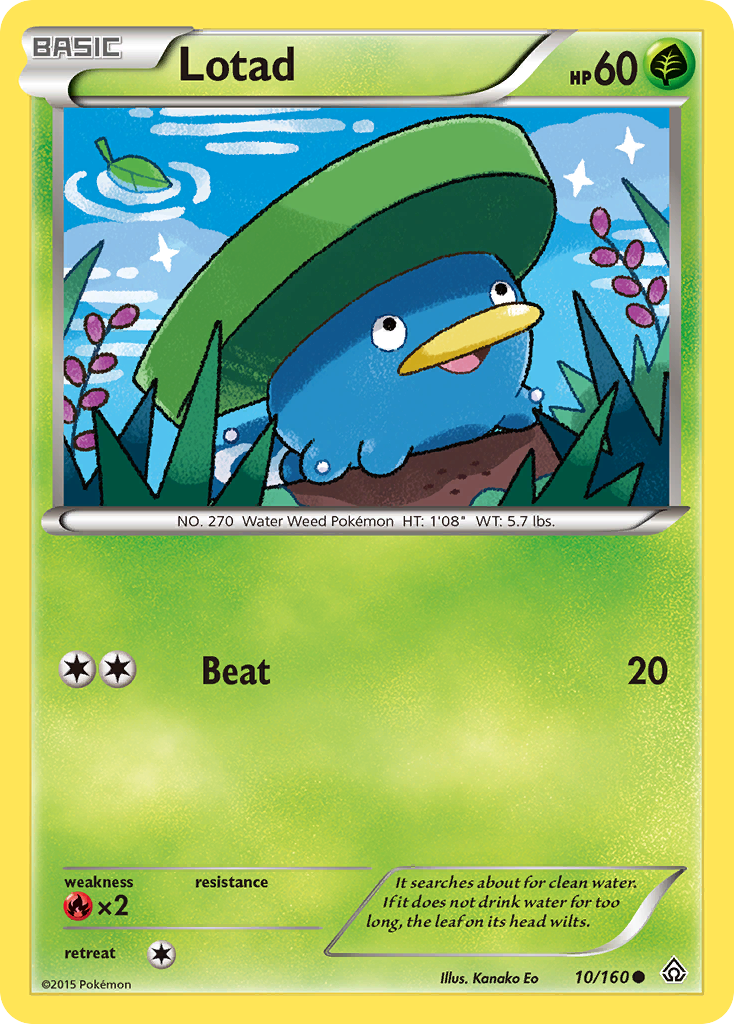 Lotad (10/160) [XY: Primal Clash] | Total Play