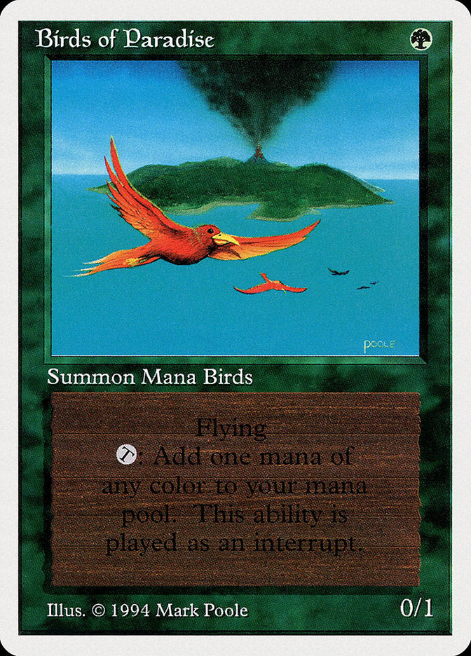 Birds of Paradise [Summer Magic / Edgar] | Total Play
