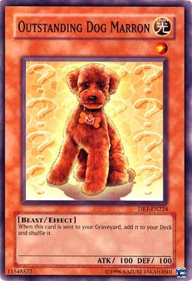 Outstanding Dog Marron [DR1-EN224] Common | Total Play