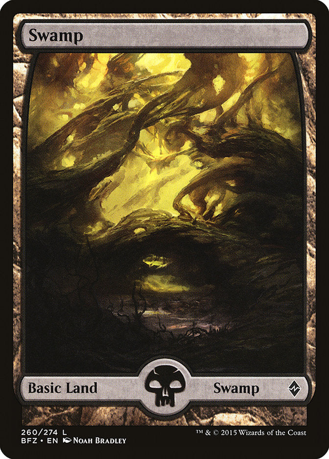 Swamp (260) (Full Art) [Battle for Zendikar] | Total Play