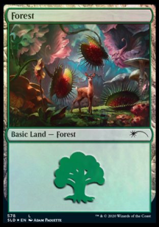 Forest (Predatory) (578) [Secret Lair Drop Promos] | Total Play