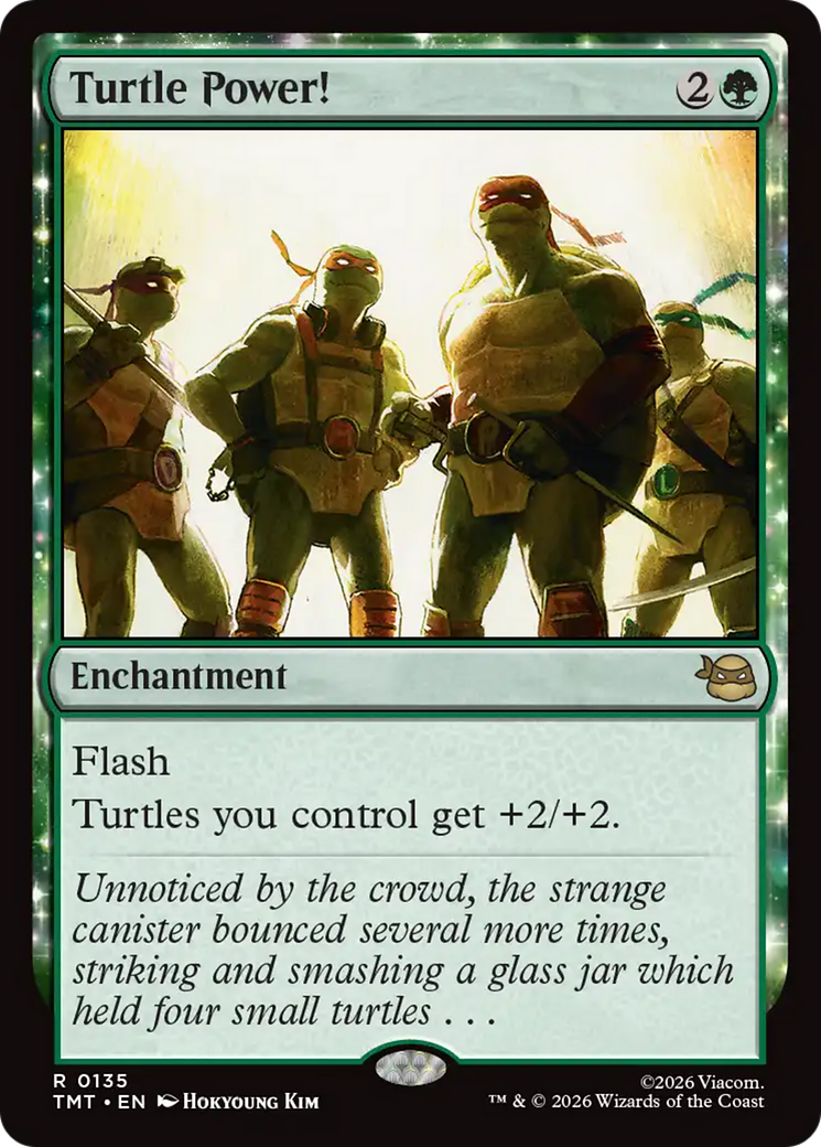 Turtle Power! [Teenage Mutant Ninja Turtles] | Total Play