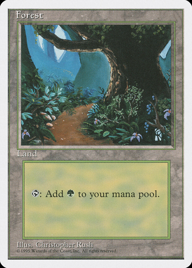 Forest (Flower Path) [Fourth Edition] | Total Play