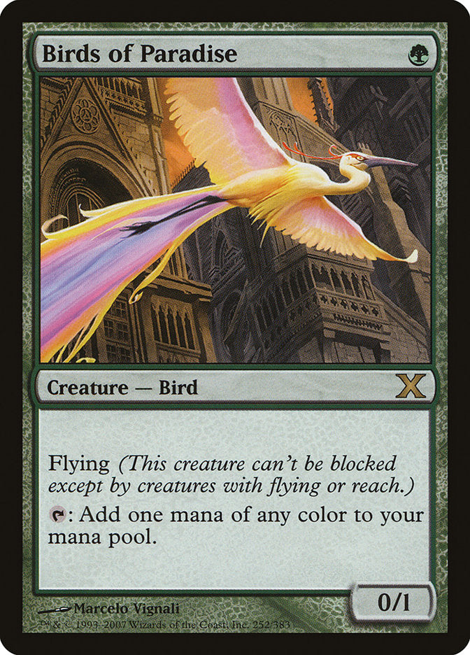 Birds of Paradise [Tenth Edition] | Total Play