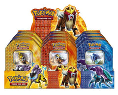 HeartGold & Soulsilver - Collector's Tin Display | Total Play