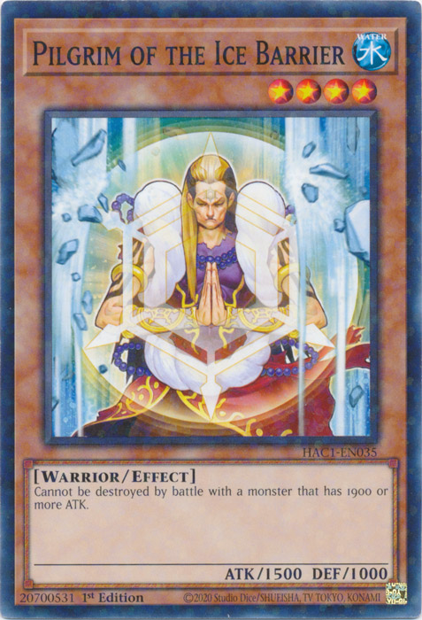 Pilgrim of the Ice Barrier (Duel Terminal) [HAC1-EN035] Common | Total Play
