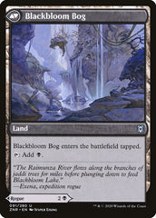 Blackbloom Rogue // Blackbloom Bog [Zendikar Rising] | Total Play