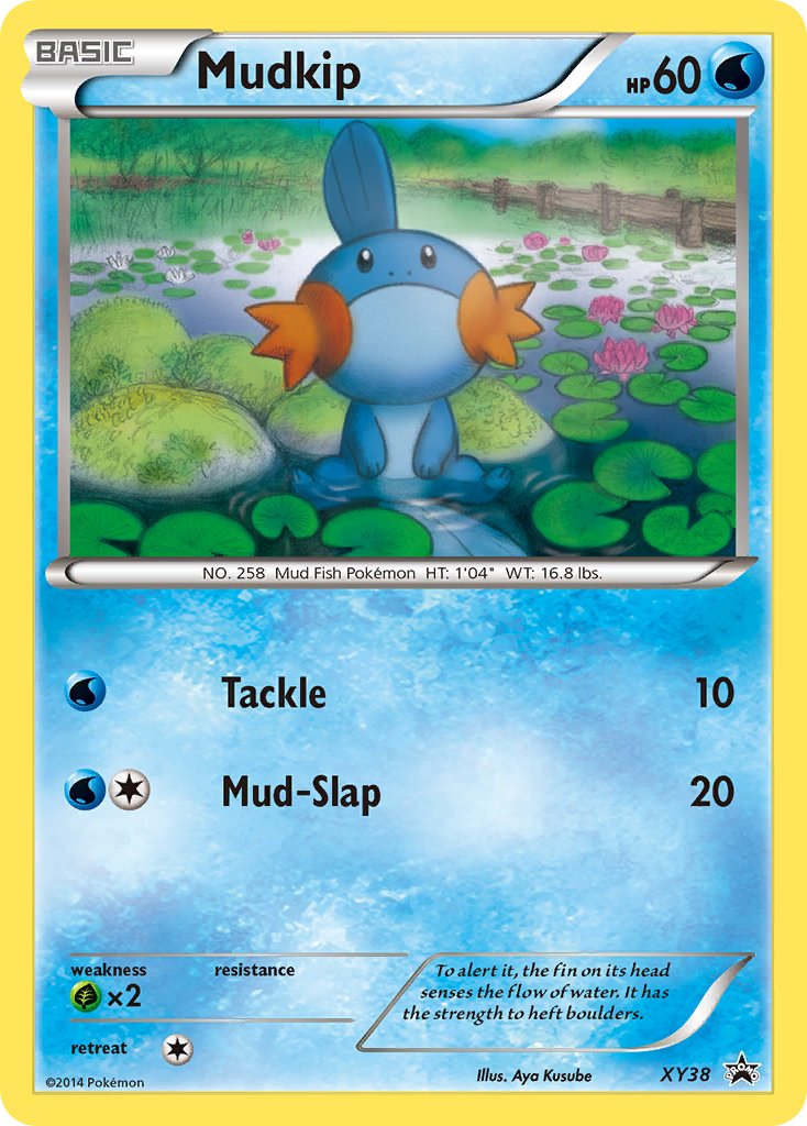 Mudkip (XY38) [XY: Black Star Promos] | Total Play