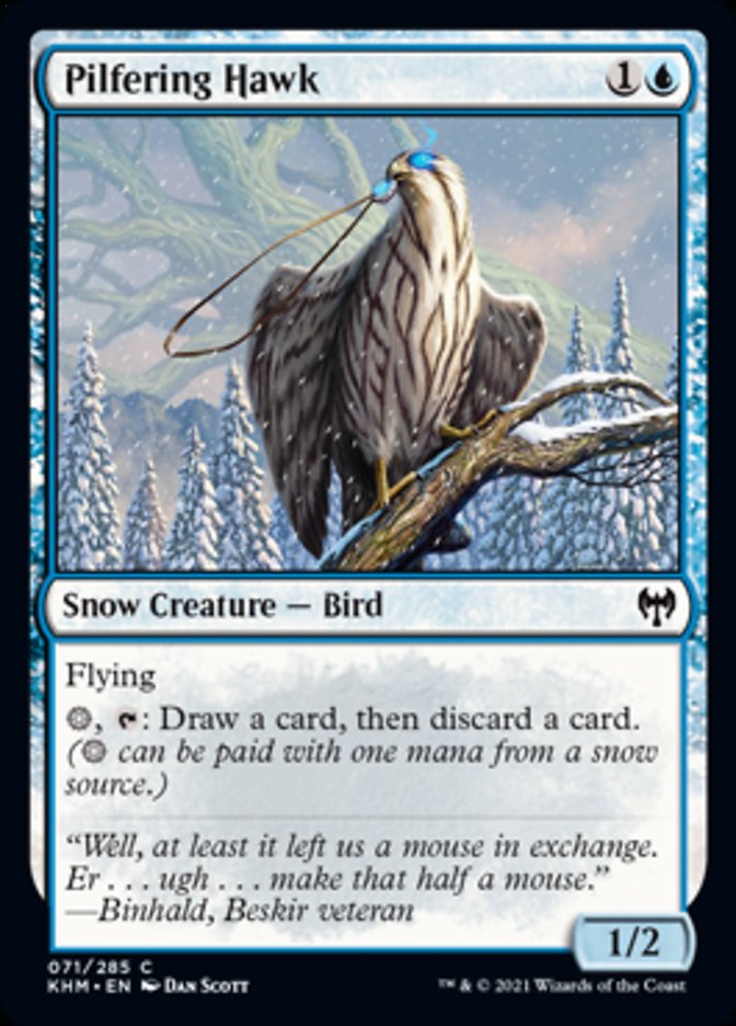 Pilfering Hawk [Kaldheim] | Total Play