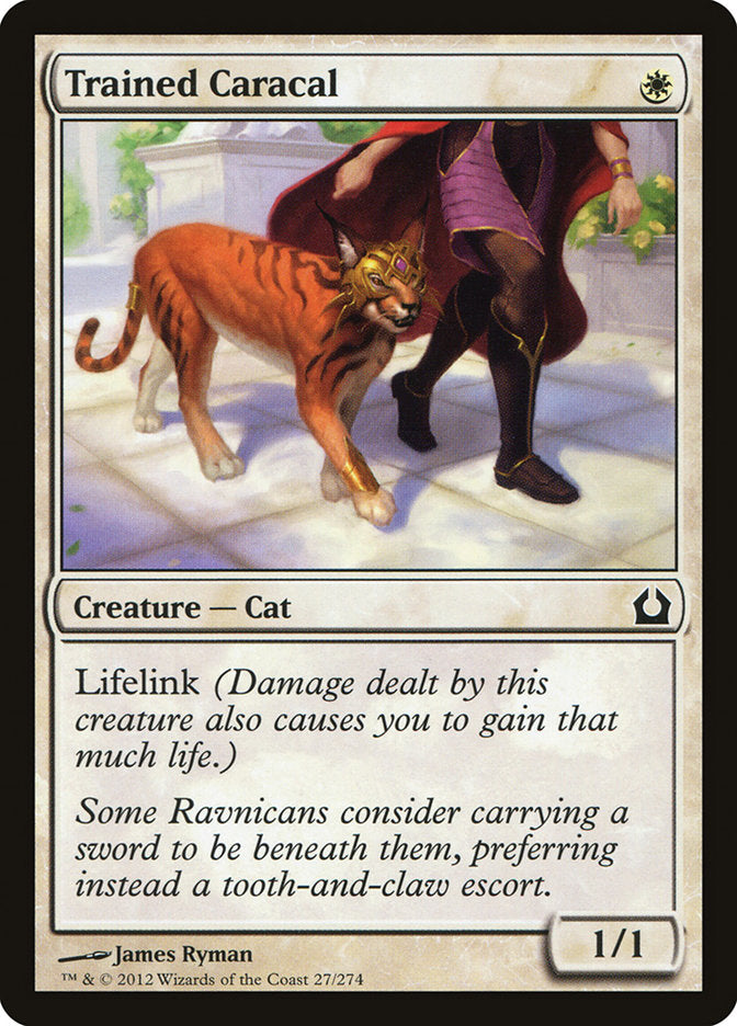Trained Caracal [Return to Ravnica] | Total Play