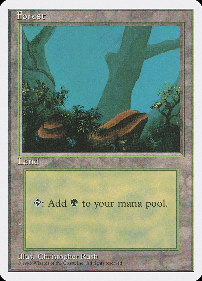 Forest (Two Stones) [Fourth Edition] | Total Play