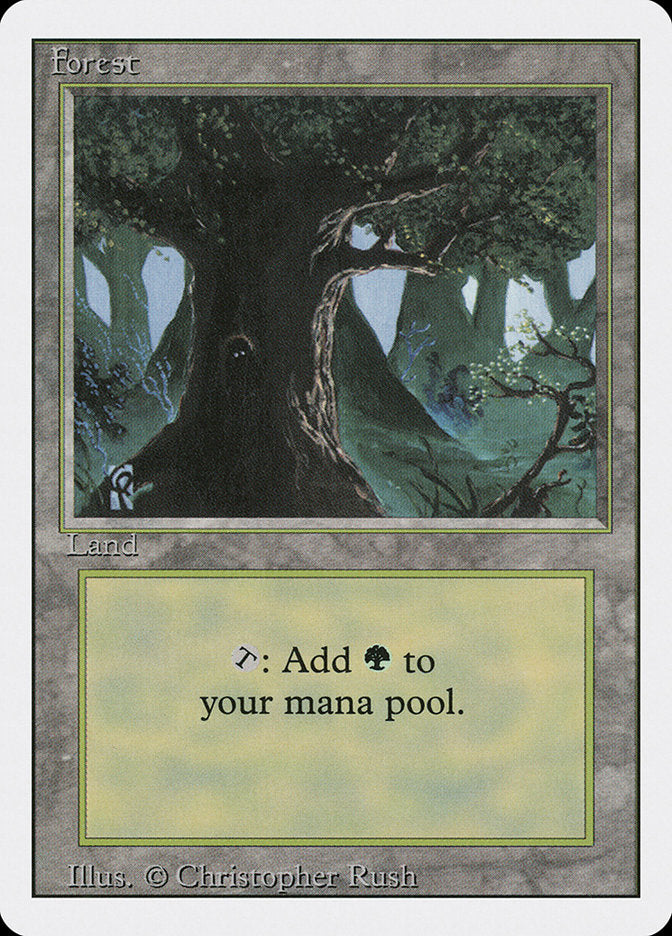 Forest (Eyes in Tree) [Revised Edition] | Total Play