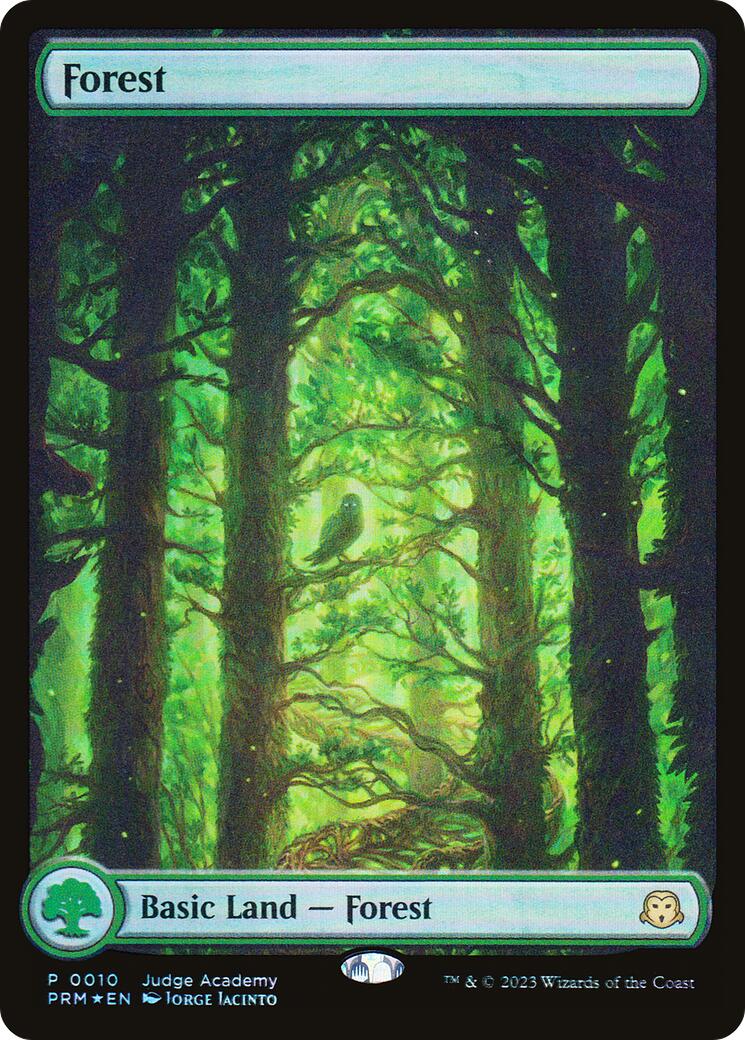 Forest [Judge Gift Cards 2023] | Total Play