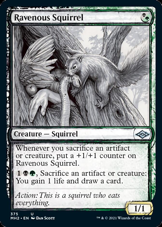 Ravenous Squirrel (Sketch) [Modern Horizons 2] | Total Play