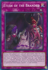 Etude of the Branded [MP24-EN351] Common | Total Play