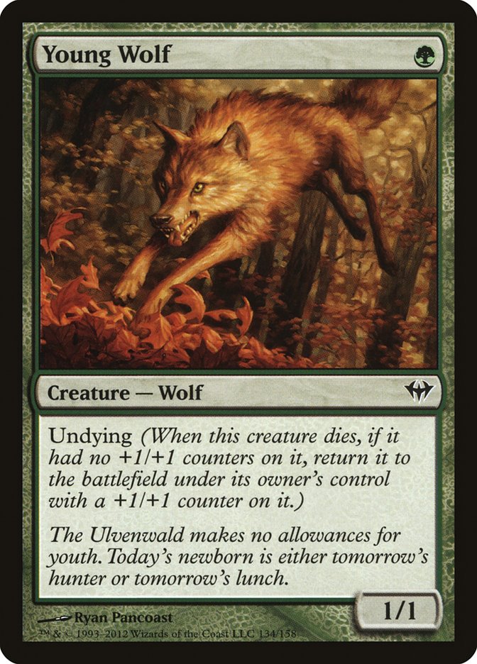 Young Wolf [Dark Ascension] | Total Play