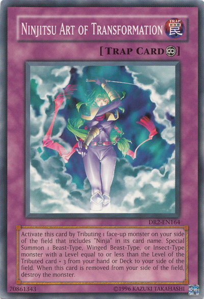 Ninjitsu Art of Transformation [DR2-EN164] Common | Total Play