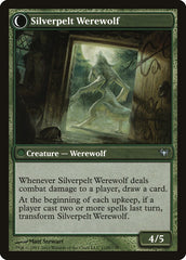 Lambholt Elder // Silverpelt Werewolf [Dark Ascension] | Total Play