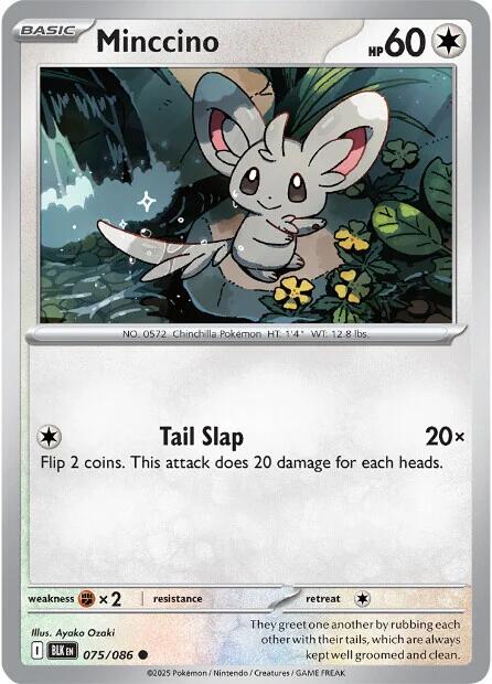 Minccino (075/086) [Scarlet & Violet: Black Bolt] | Total Play