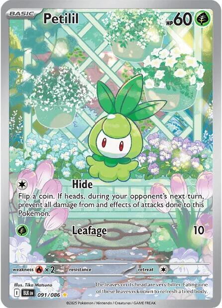 Petilil (091/086) [Scarlet & Violet: Black Bolt] | Total Play