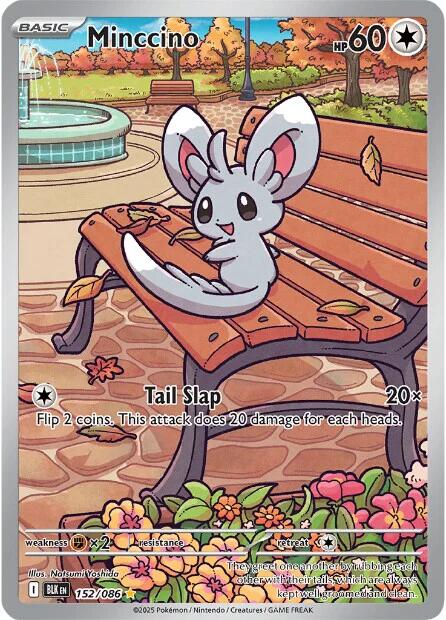 Minccino (152/086) [Scarlet & Violet: Black Bolt] | Total Play