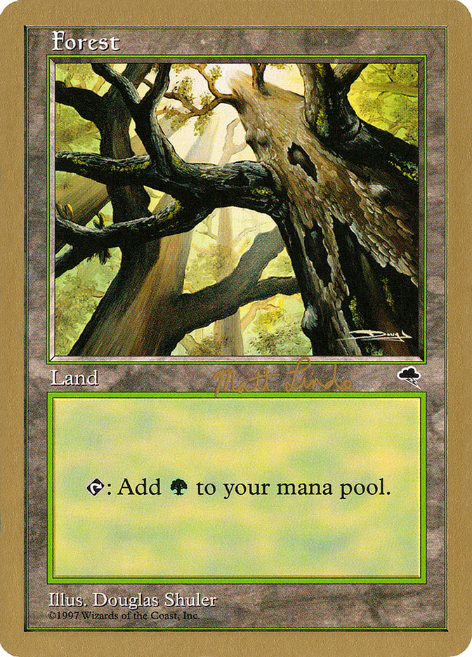 Forest (ml347a) (Matt Linde) [World Championship Decks 1999] | Total Play