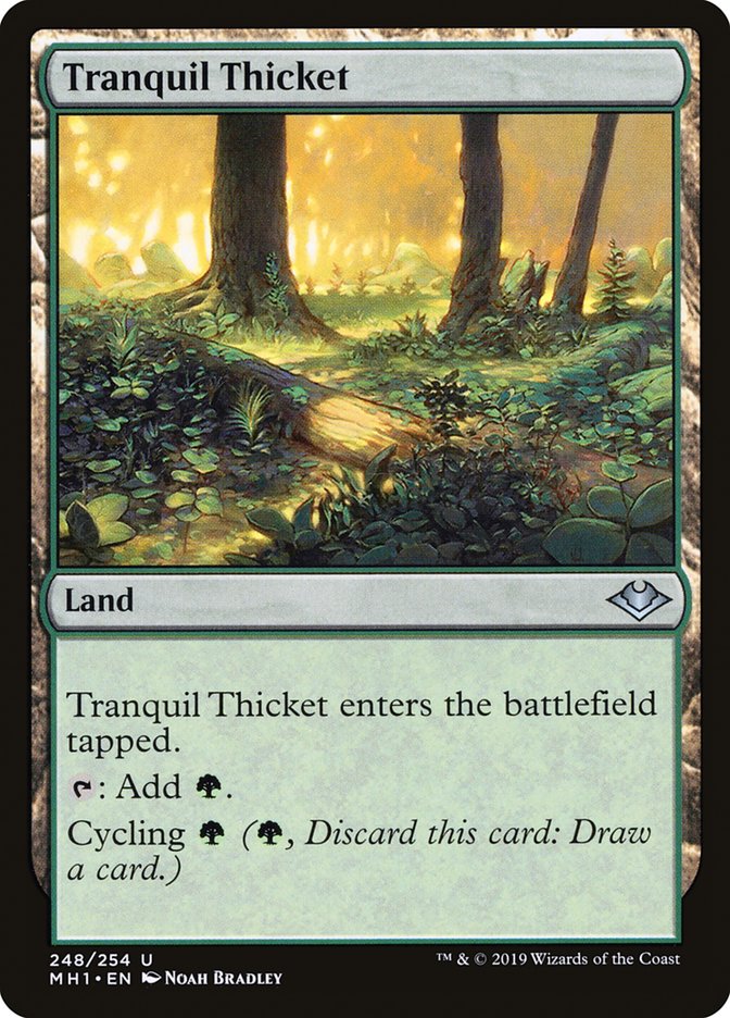 Tranquil Thicket [Modern Horizons] | Total Play