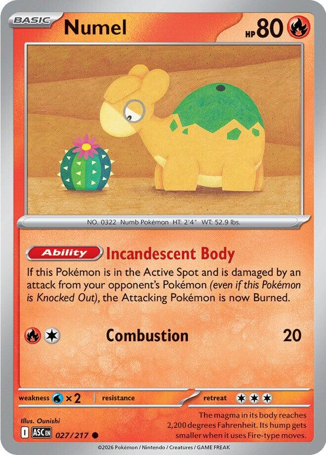 Numel (027/217) [Mega Evolution: Ascended Heroes] | Total Play