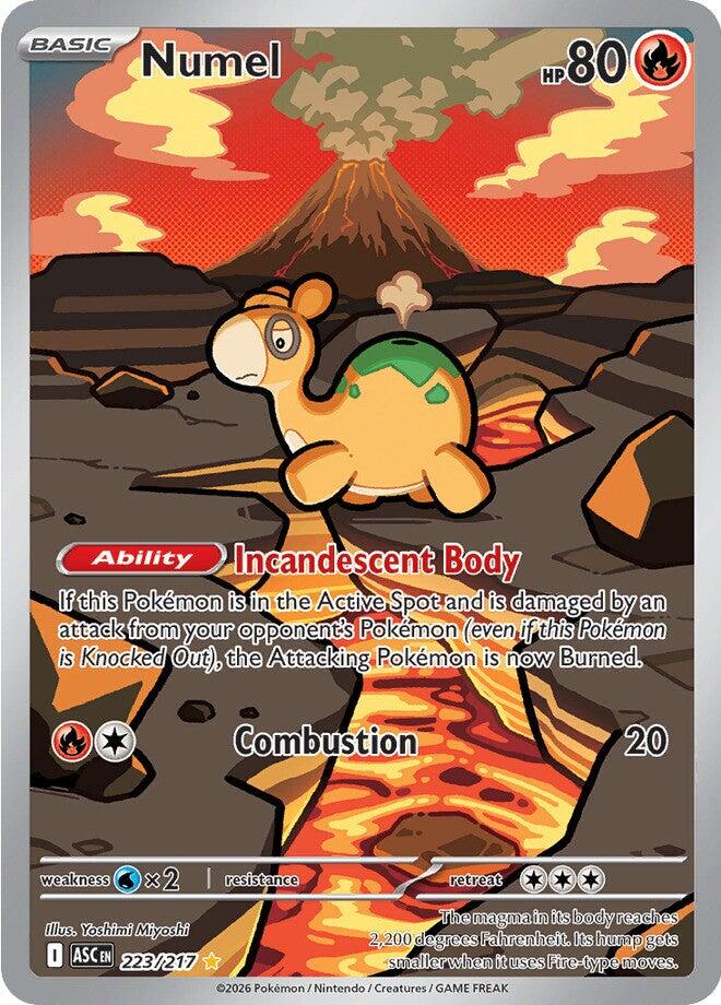 Numel (223/217) [Mega Evolution: Ascended Heroes] | Total Play
