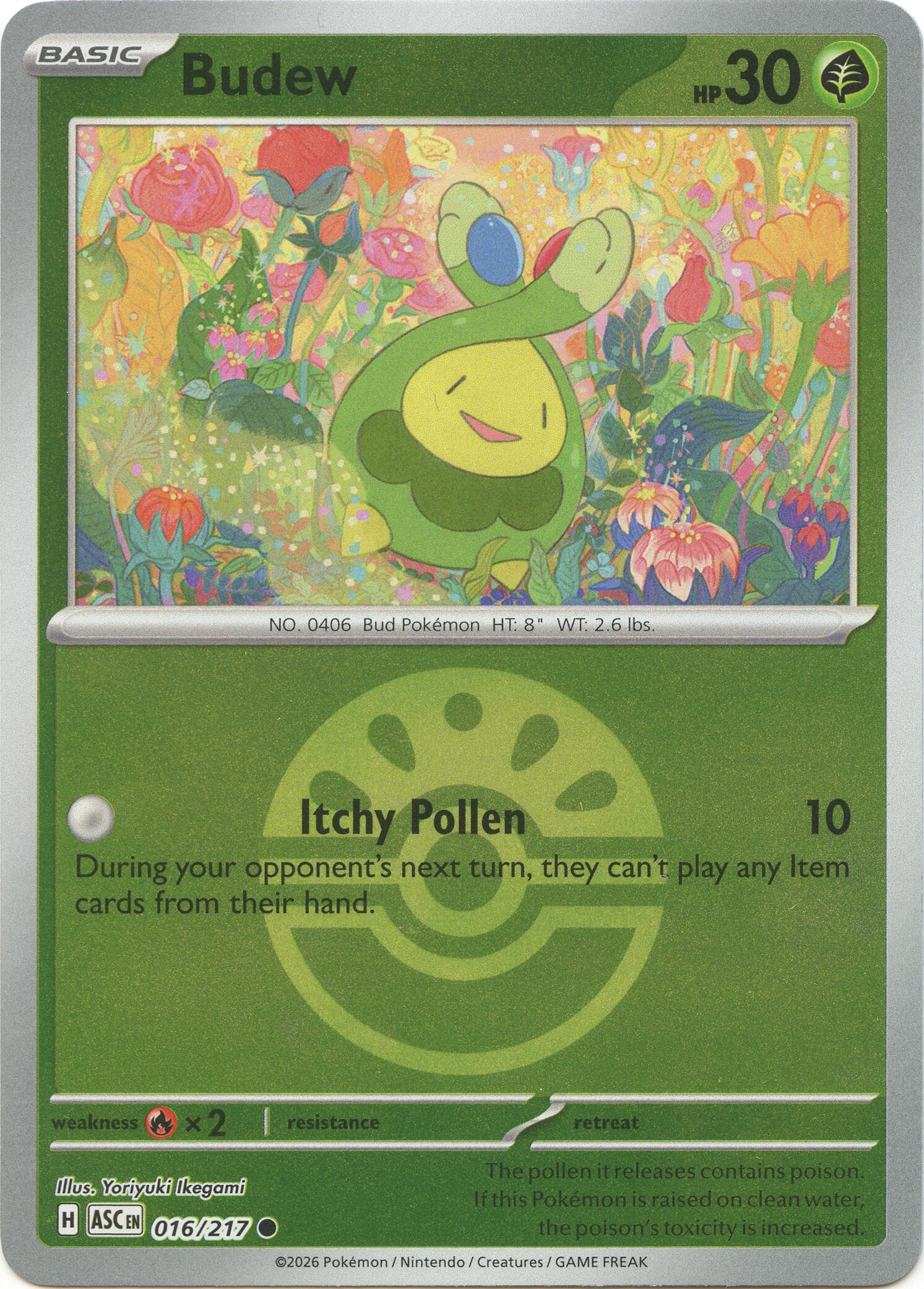Budew (016/217) (Friend Ball) [Mega Evolution: Ascended Heroes] | Total Play