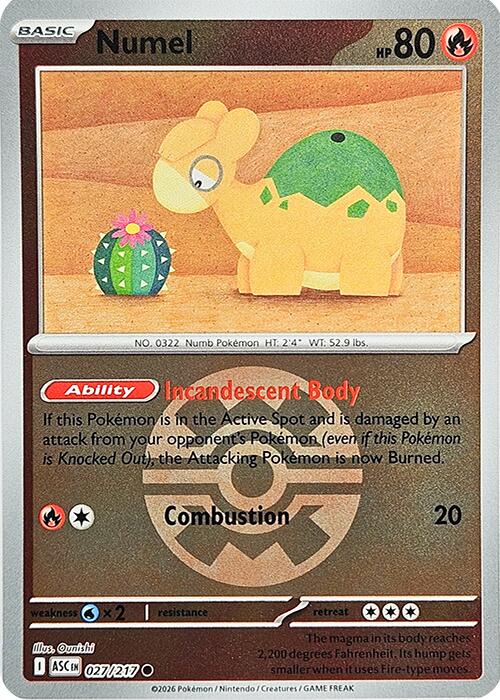 Numel (027/217) (Quick Ball) [Mega Evolution: Ascended Heroes] | Total Play
