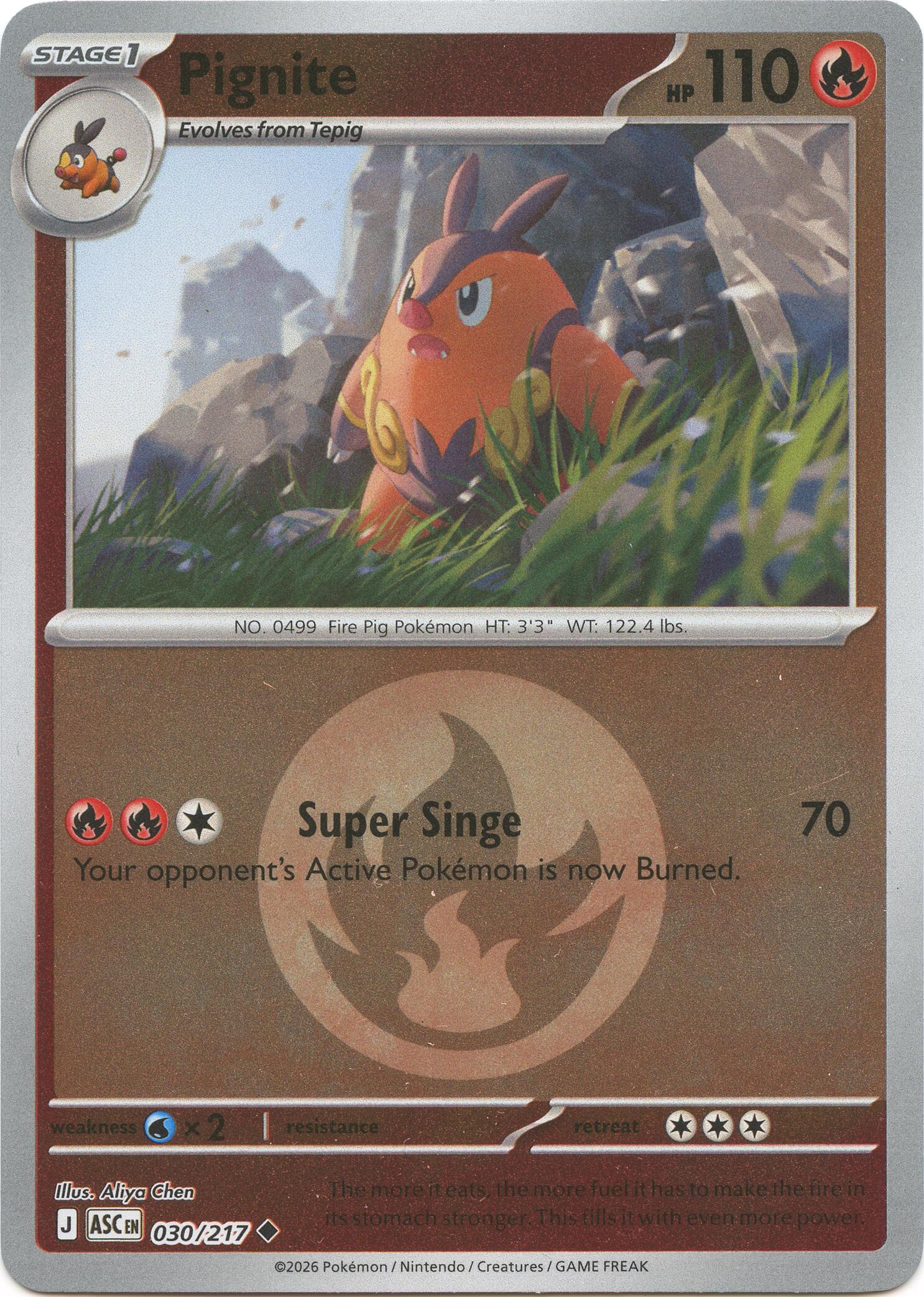 Pignite (030/217) (Energy Symbol Pattern) [Mega Evolution: Ascended Heroes] | Total Play