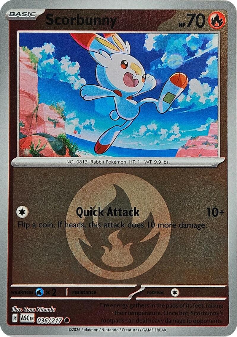 Scorbunny (036/217) (Energy Symbol Pattern) [Mega Evolution: Ascended Heroes] | Total Play