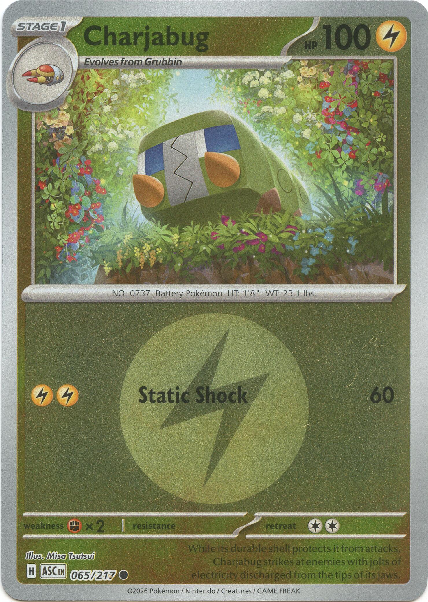 Charjabug (065/217) (Energy Symbol Pattern) [Mega Evolution: Ascended Heroes] | Total Play