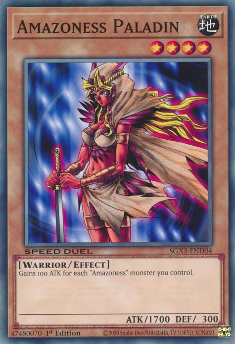 Amazoness Paladin [SGX3-END04] Common | Total Play