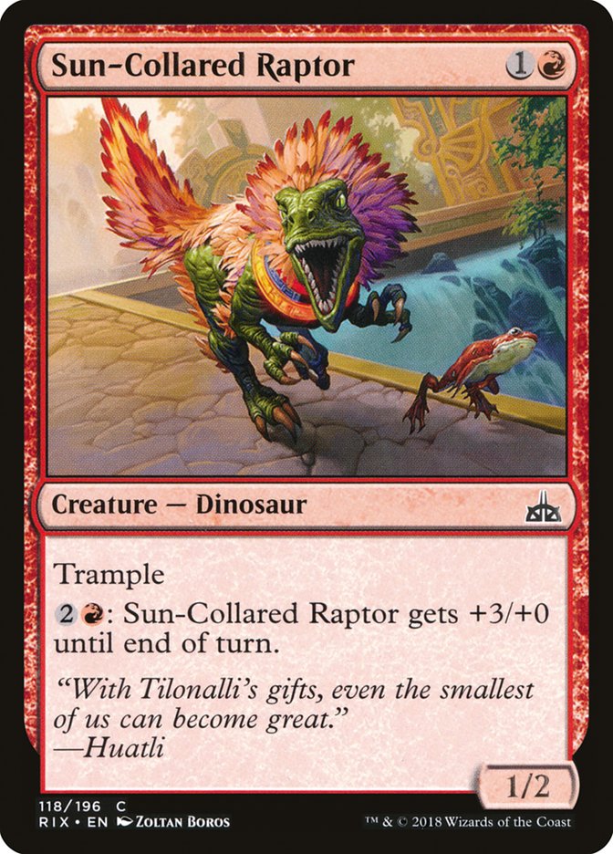 Sun-Collared Raptor [Rivals of Ixalan] | Total Play