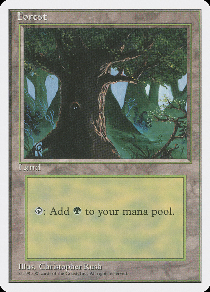Forest (Eyes in Tree) [Fourth Edition] | Total Play