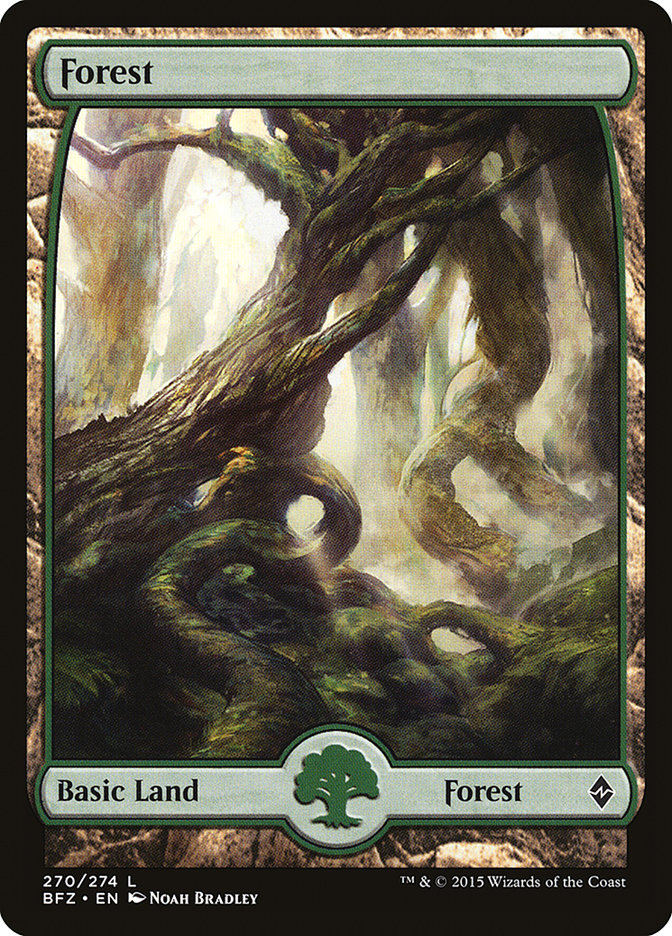 Forest (270) (Full Art) [Battle for Zendikar] | Total Play