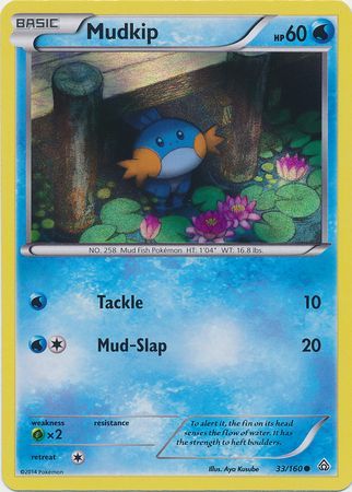 Mudkip (33/160) (Sheen Holo) [XY: Primal Clash] | Total Play