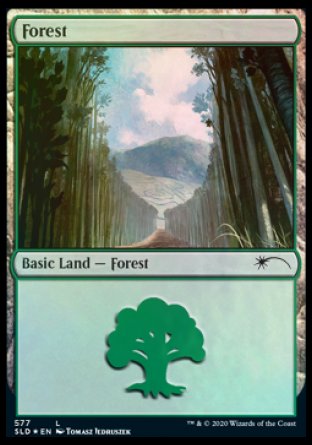 Forest (Walls) (577) [Secret Lair Drop Promos] | Total Play