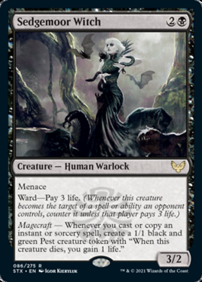 Sedgemoor Witch [Strixhaven: School of Mages] | Total Play