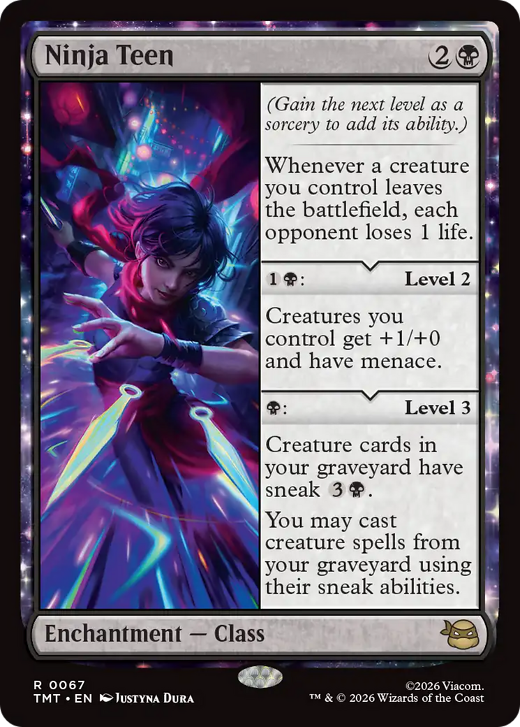 Ninja Teen [Teenage Mutant Ninja Turtles] | Total Play