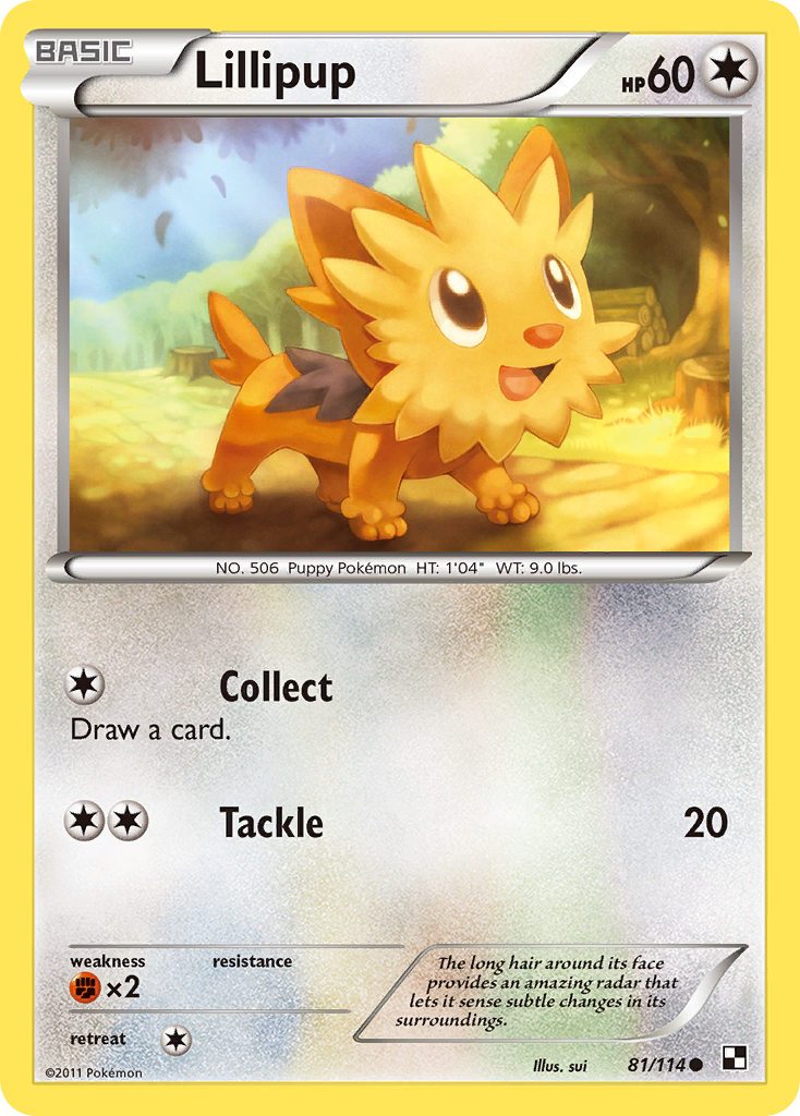 Lillipup (81/114) [Black & White: Base Set] | Total Play