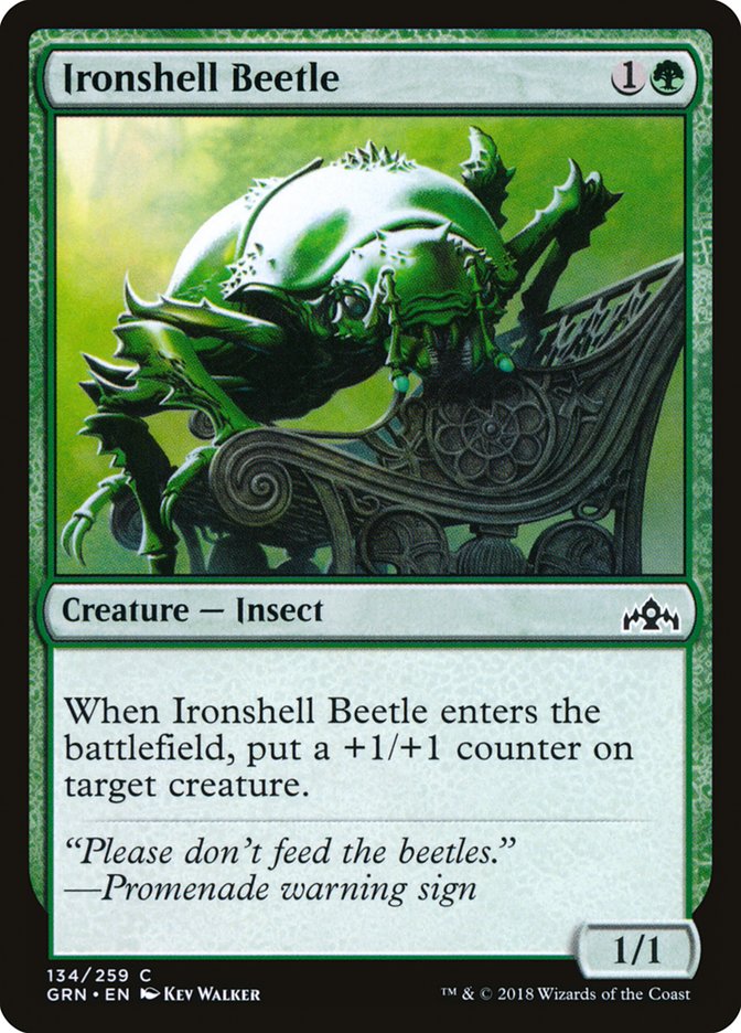 Ironshell Beetle [Guilds of Ravnica] | Total Play