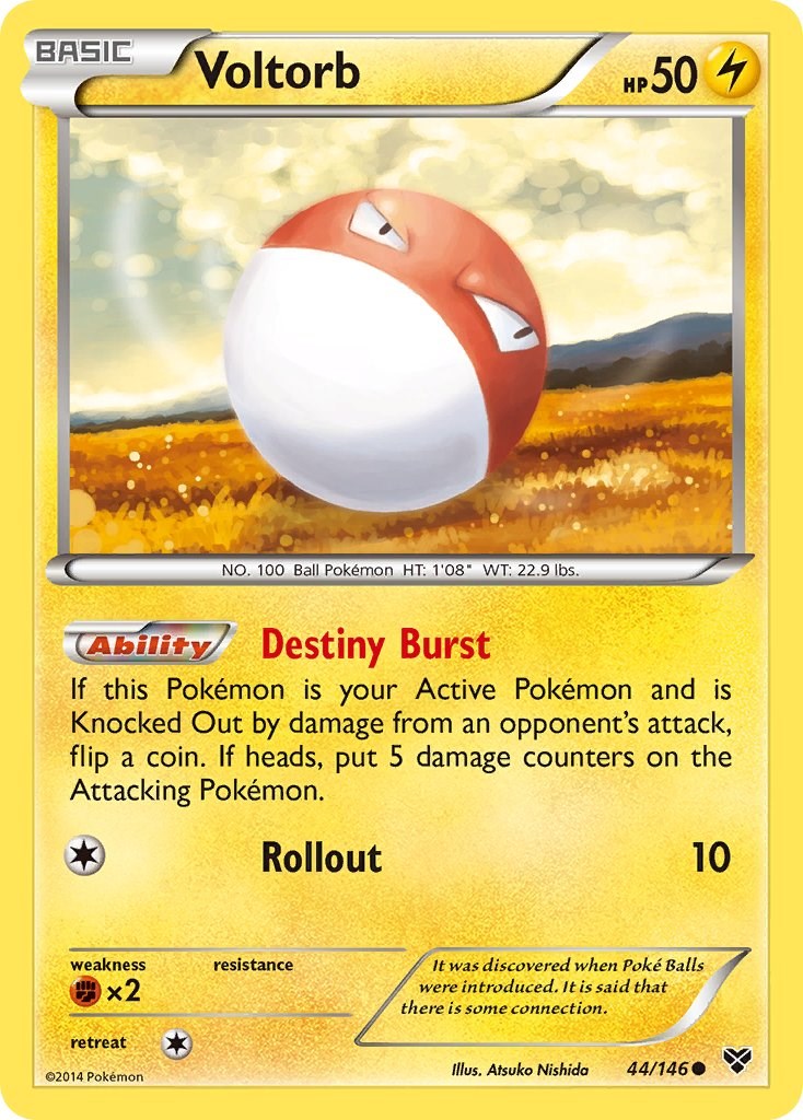 Voltorb (44/146) [XY: Base Set] | Total Play