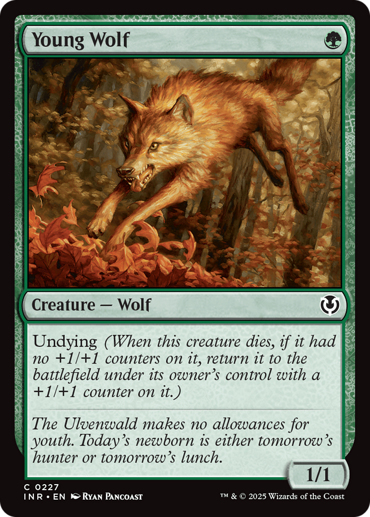 Young Wolf [Innistrad Remastered] | Total Play