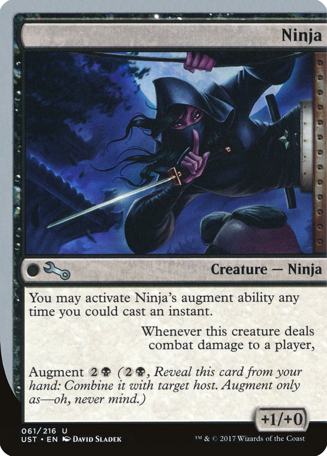 Ninja [Unstable] | Total Play
