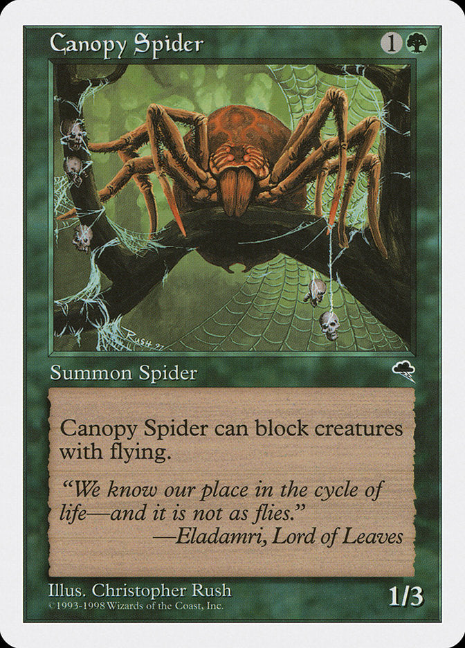 Canopy Spider [Anthologies] | Total Play