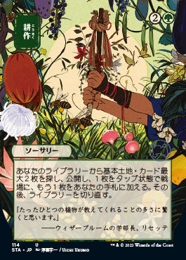 Cultivate (Japanese) [Strixhaven: Mystical Archive] | Total Play